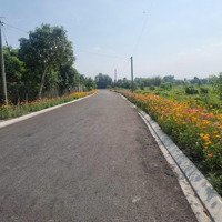 Cần Bán Đất Lớn Nhị Bình Hóc Môn