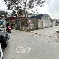 Bán Đất Tặng Nhà Cấp 4 Mái Bằng Mặt Trục Thôn 5M Ô Tô Tránh Nhau Tại Minh Kha, Đồng Thái, An Dương