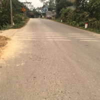 Cần Bán Nhanh 320M Mặt Đường Tỉnh Lộ 446 Giá Rẻ Bất Ngờ