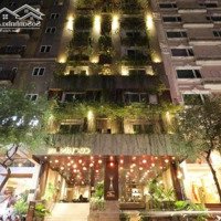 Bán Nhà Siêu Vị Trí Ngay Mặt Tiền Chợ Bến Thành Q1 (9X21M) Xd: Hầm 9 Tầng Hđt: 380 Triệu/Th Giá Bán 160 Tỷ