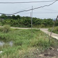 Cần Bán Đất Giá 3 Triệu/M2 Tại Đường Gò Me, Xã Hiệp Phước, Nhà Bèdiện Tích1995M2. 0916681682