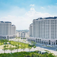 Bán Căn Hộ 1 Phòng Ngủswanbay 48M2 - Sẵn Hđ Thuê Nhà Thô 3 Triệu/Tháng - Đảo Swanbay Nhơn Trạch
