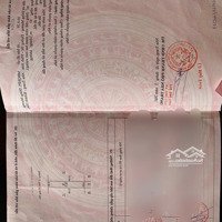 Bán 3 Lô Đất Liền Kề Mặt Tiền Đường Lý Thái Tổ,P.vĩnh Hoà Nha Trang Cách Bến Du Thuyền 500M