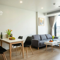Cho Thuê Chung Cư Mini 2 Phòng Ngủ Đường Quốc Hương Giá Siêu Hời Chỉ 33 Triệu
