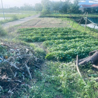 Bán Đất Tại Đường Yến Nê 2 Rộng 7.5M Xã Hòa Tiến, Hòa Vang, Đà Nẵng, 1,4 Tỷ, 138M2