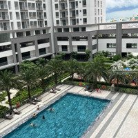 Bán Và Cho Thuê Shopdiện Tích185M2 Giá Bán 30 Triệu /Tháng Gặp Chủ Thương Lượng, Tiện Ích Đầy Đủ, 0916651239