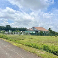 Kẹt Tiền Kd Sang Gấp 2.291M2 Đất,Mặt Tiềnđường 18M Thông Ngay Kcn Sát Trường, Chợ. Giá 160 Triệu
