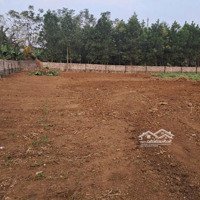 Đất Thổ Cư Tại Thôn 1,Ba Trại,Ba Vì,Hn. Diện Tích: 300M2 (Có 150M2 Ont) Giá Bán 699 Triệu (Đã Bao Sổ,Bao Ranh Giới)