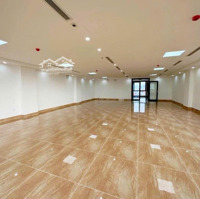 Bán Gấp Tòa Văn Phòng Mặt Phố Quan Hoa 200M2 Xmặt Tiền10M, 9 Tầng, Có Hầm, Đầy Đủ Gpxd, Pccc, Hoàn Công