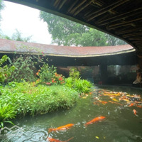 Bán Nhà Mặt Tiền Đường Dương Quảng Hàm, P.6, Rộng 5500M2, Ngang 55X100M, Đất Thổ Cư, Tiện Xây Dựng