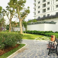 Em Sinh Cập Nhật Hàng Ngày Quỹ Căn 2Pn- 3 Phòng Ngủtừ 62M2-135M2 Tại Dự Án Iris Garden. Cam Kết Giá Cực Tốt