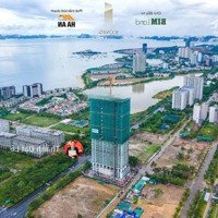 Bán Căn Hộ Cao Cấp Studios 33,9M2 Mã 08 Vip View Biển Vinpearl Tại Chung Cư Icon40 Hạ Long