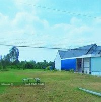 Cần Bán Gấp Đất Gần Chợ Vàm Vòngmặt Tiềnđ.32 , Hựu Thạnh , Trà Ôn , Vĩnh Long 120M2/ 550 Triệu Shr Tc 100%