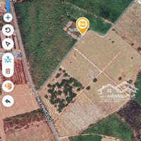 Bán Đất Đường Ô Tô Cách Cù Chính Lan 200M,Tân Bình,Lagi Giá 700 Triệudiện Tích1200M2