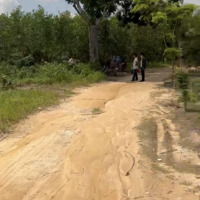 Bán Đất Đường Ô Tô Cách Cù Chính Lan 200M,Tân Bình,Lagi Giá 700 Triệudiện Tích1200M2