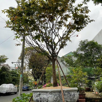 Siêu Hiếm-Mặt Tiềnđường 10,5M- Đối Diện Công Viên- Kinh Doanh Tốt-Sát Biệt Thự Thăng Long.