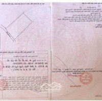 Bán Đất Hồ Tràm Diện Tích: 916M2 Có 50M2 Thổ Cư Có 23Mx44M Đường Nhựa Gần Homestay Vui Hồ Tràm