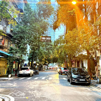 Nhà Đầm Trấu - Phân Lô Ô Tô Đỗ Cửa Miễn Phí - Lô Góc - Đường Nhựa Vòng Quanh - 50M2 - 15Tỷ