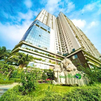 Cho Thuê Cc Ecolife Capitol, 8 Triệu, 58M2, 1 Phòng Ngủ 1 Vệ Sinh Nam Từ Liêm, Hn