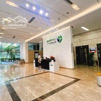 Cho Thuê Cc Ecolife Capitol, 8 Triệu, 58M2, 1 Phòng Ngủ 1 Vệ Sinh Nam Từ Liêm, Hn