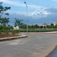 Duy Nhất 1 Ô Liền Kề Đường 21,5M Cienco5 Mê Linh Mà Giá Chỉ 3Xtr/M Không Có Ô Thứ 2 Trên Thị Trường