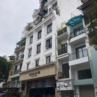 Bán Nhà Mặt Phố Tại Hàng Da, 239 Tỷ, 365 M2, 2 Tầng, Mặt Tiền 20M