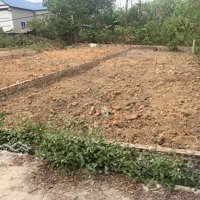 Bán Đất Hướng Đạo, Tam Dương, Vĩnh Phúc 143 M2, 550 Triệu, Ngõ Thông