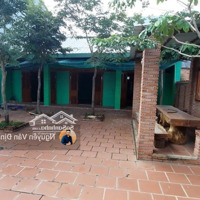 Nhà Tt Phước Hải, 150M2, 10X15, Cách Chợ 10M, Ra Biển 50M, Đường Xe Hơi Giá Bán 4Ty
