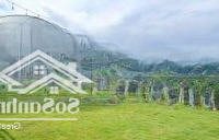 Hot Hot .... Bán Đất Tặng Mô Hình Homestay Vườn Cây Tiểu Cảnh,Mái Che, Hệ Thống Đèn