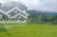 Hot Hot .... Bán Đất Tặng Mô Hình Homestay Vườn Cây Tiểu Cảnh,Mái Che, Hệ Thống Đèn