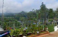 Hot Hot .... Bán Đất Tặng Mô Hình Homestay Vườn Cây Tiểu Cảnh,Mái Che, Hệ Thống Đèn