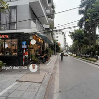 Bán Nhà Phố Từ Hoa Quận Tây Hồ 250M4T Mt16M Phường Quảng An 1 Sổ 1 Chủ 64 Tỷ Từ Hoa.