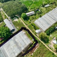 Bán Đất Tại 1014 Nguyễn Thị Rành, Xã An Nhơn Tây, Củ Chi, Hcm Giá Bán 1,8 Triệu/M2, Diện Tích 5146M2
