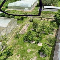 Bán Đất Tại 1014 Nguyễn Thị Rành, Xã An Nhơn Tây, Củ Chi, Hcm Giá Bán 1,8 Triệu/M2, Diện Tích 5146M2
