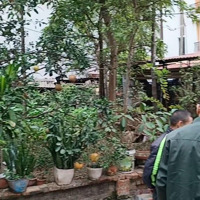 Bán Đất Tại Phố Phùng Hưng, Thị Trấn Phùng, Đan Phượng, Hà Nội, 2,5 Tỷ, 59,6 M2 Chính Chủ Hot