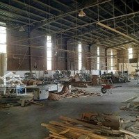 Bán Gấp Xưởng Ngoài Kcn Nam Tân Uyên Đang Cho Thuê 150 Triệu/Tháng Giấy Tờ Đầy Đủ. Lh E Việt