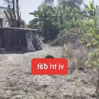 Cần Bán Miếng Đất Vườn Giá Rẻ, 293M2 (5.50X53M), Giá Bán 650 Triệu Hóc Hưu Quy Đức Bình Chánh Sổ Riêng