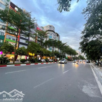 Hiếm, Bán Toà Nhà Mặt Phố Trần Thái Tông, Cầu Giấydiện Tích130M Mt8M Xây 8T Thang Máy, Kd Sầm Uất 90 Tỷ