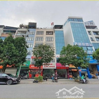 Hiếm, Bán Toà Nhà Mặt Phố Trần Thái Tông, Cầu Giấydiện Tích130M Mt8M Xây 8T Thang Máy, Kd Sầm Uất 90 Tỷ