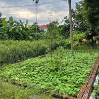 Bán Đất Tại Tích Giang, Giá Ưu Đãi, Nhanh Tay Công Chứng