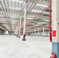 Cho Thuê Xưởng 22.000 M2 Ở Cụm Cn Hải Dương. Pccc Tự Động. Giữ Giá 10 Năm - 20 Năm Không Tăng Giá