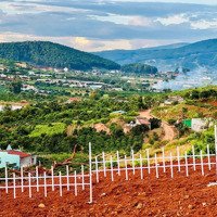 438M2 Đất Thổ Cư Sáp Nhập Thành Phố Đà Lạt View Siêu Đẹp Giá Bán 1.25 Tỷ