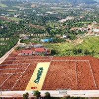 438M2 Đất Thổ Cư Sáp Nhập Thành Phố Đà Lạt View Siêu Đẹp Giá Bán 1.25 Tỷ
