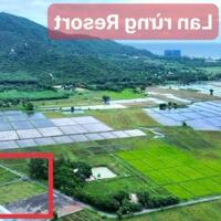 LÔ GÓC tổng 1.700m2 - ngang 43m x 37m sẵn 100m2 thổ  THỊ TRẤN PHƯỚC HẢI -ĐẤT ĐỎ-BÀ RỊA VT