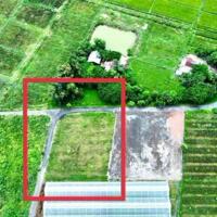 LÔ GÓC tổng 1.700m2 - ngang 43m x 37m sẵn 100m2 thổ  THỊ TRẤN PHƯỚC HẢI -ĐẤT ĐỎ-BÀ RỊA VT