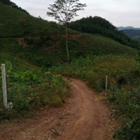 Chủ Ngộp Bán Lỗ Hơn 13Ha Siêu Đẹp Siêu Rẻ Có Thể Làm Nghỉ Dưỡng, Trang Trại Tại Kim Bôi Hoà Bình