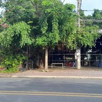Bán Đất Chính Chủ Sổ Hồng, Trong Đất Có 2 Căn Nhà Tường Nhỏ.