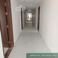 Nhà Ở Xã Hội Có Hầm Để Xe Chỉ Có Thể Là Evergreen Tràng Duệ(Kcn Lớn Nhất Hp)