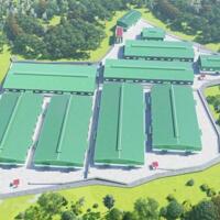 Cho thuê nhà xưởng 24.000 m2 (thuê lẻ xưởng từ 2.700 m2 đến 24.000 m2) tại Tân Uyên, Bình Dương
