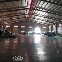 Cho Thuê Xưởngdiện Tích1500 Quận 12 Giá Rẻ Nhất Khu Vực